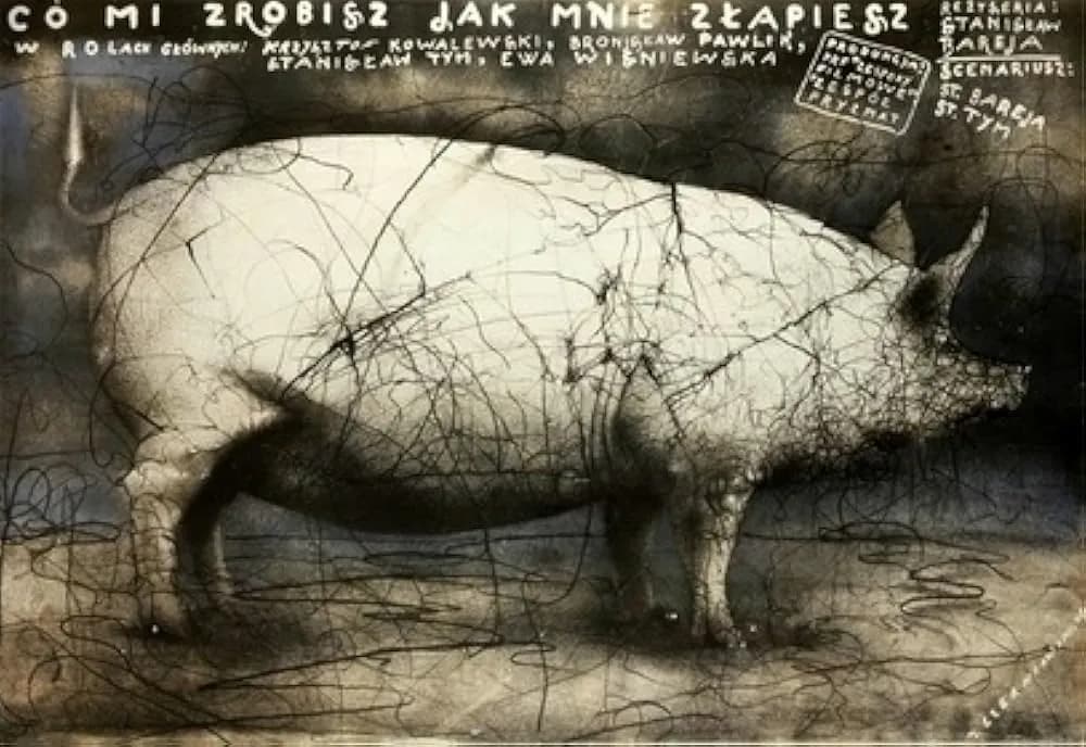 Poznaj wszystkich aktorów z filmu Co mi zrobisz jak mnie złapiesz i ich role