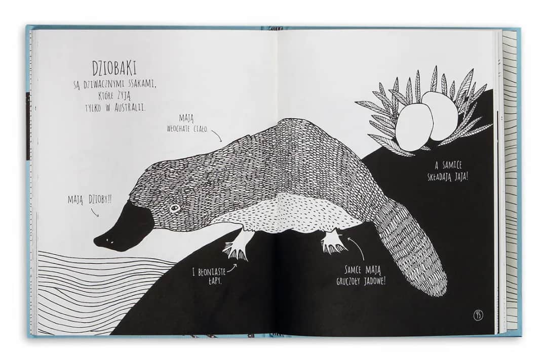 Niesamowite zwierzęta i jak je znaleźć – obsada, fabuła i ciekawostki